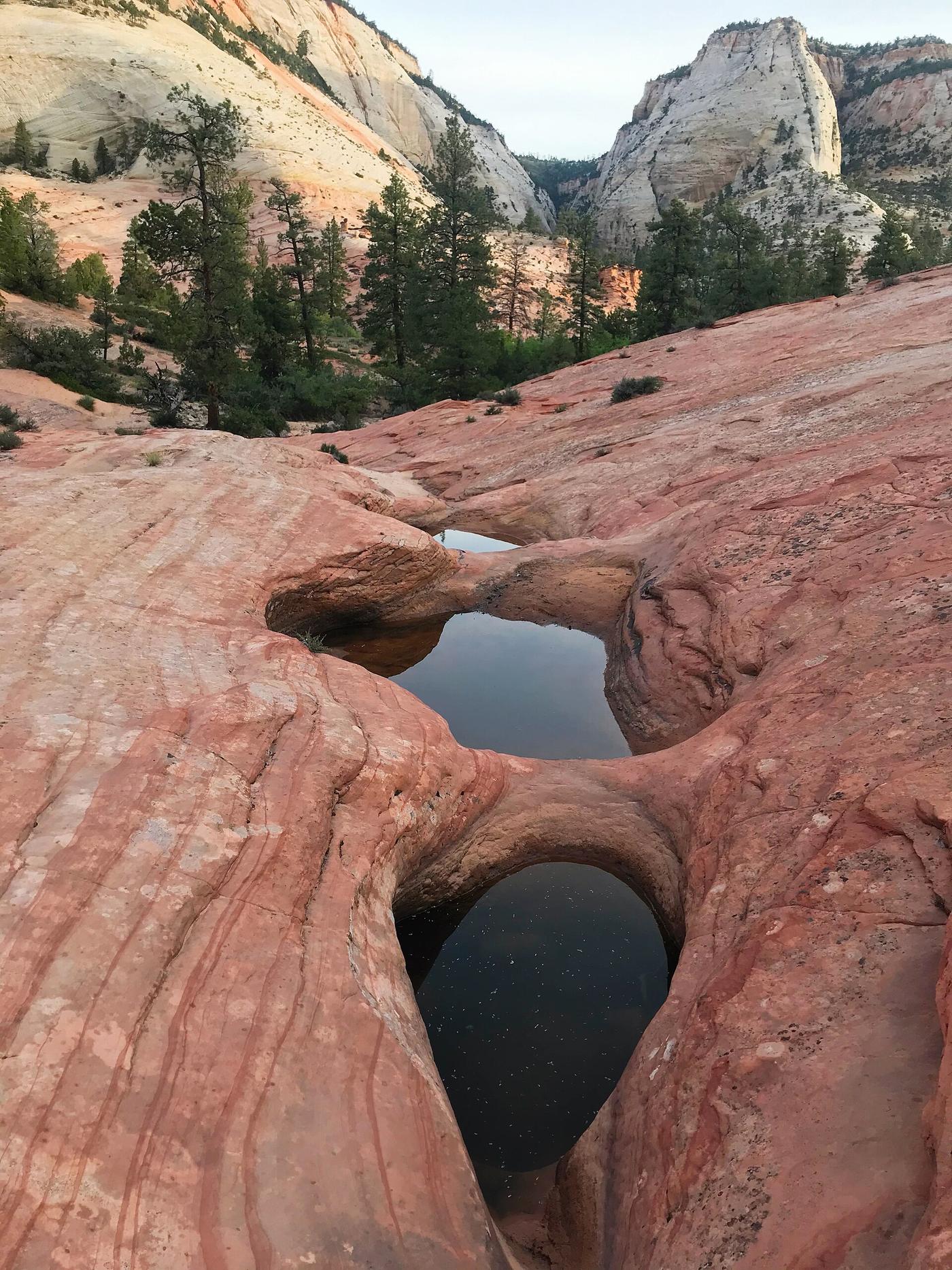 Red slickrock and waterpockets in the Grand Staircase-Escalante backcountry